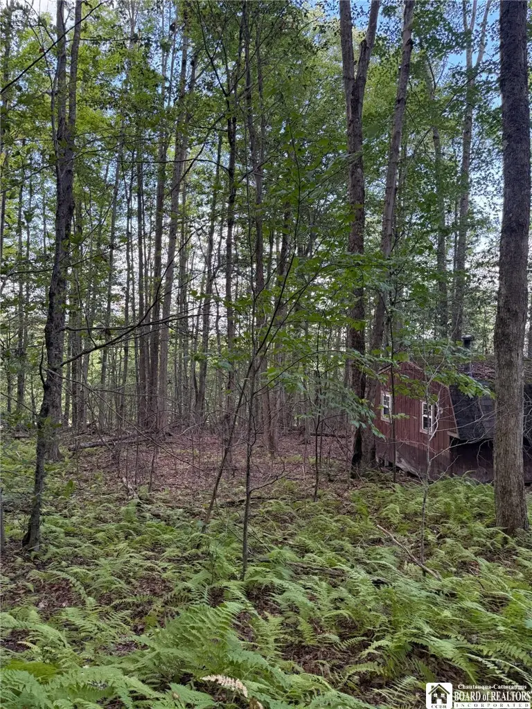 47 Studer Road, Alma, NY 14708 - #2