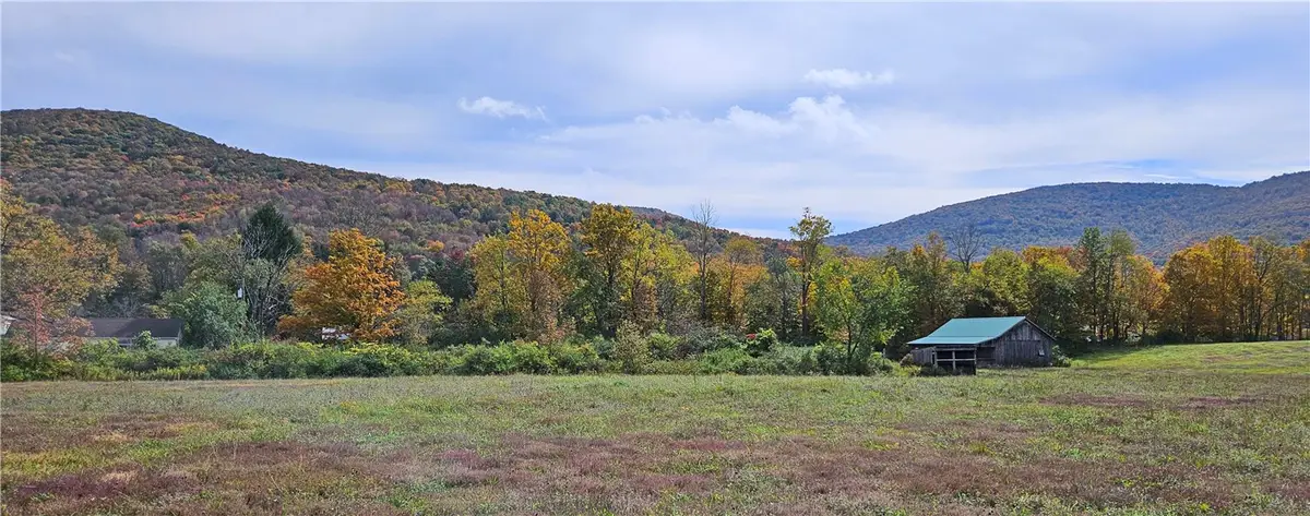 County Route 41, Roxbury, NY 12474 - #1