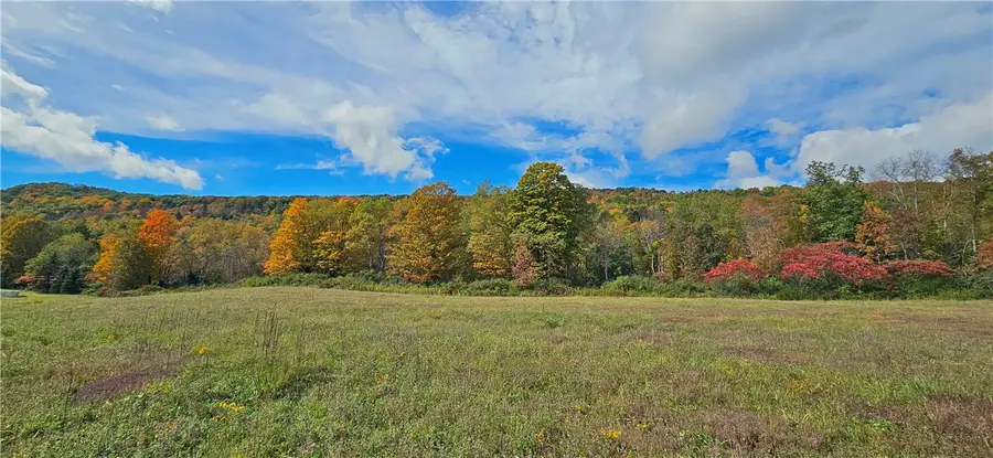County Route 41, Roxbury, NY 12474 - #3