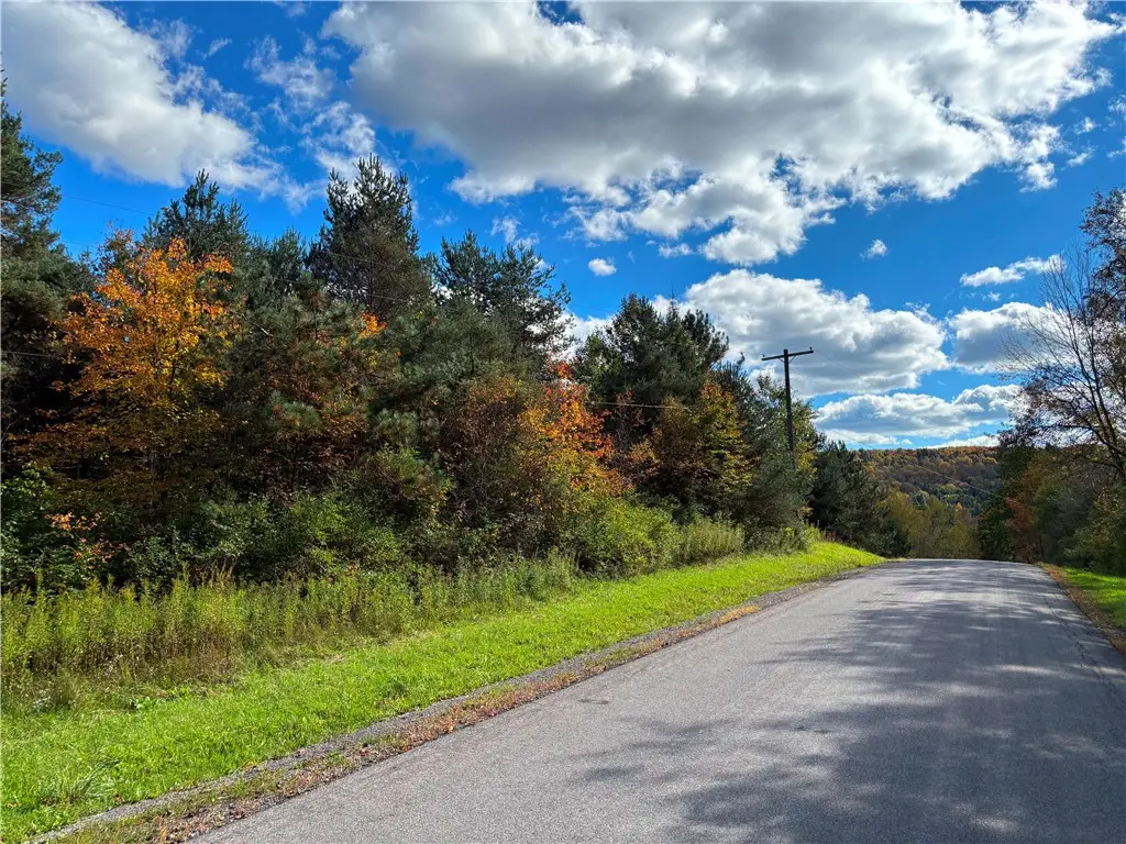 Lot #16 Furman Mills Road, Sherburne, NY 13460 - #1