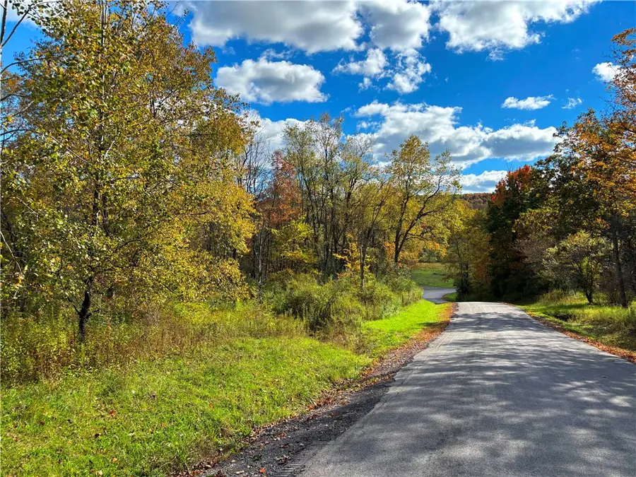 Lot #16 Furman Mills Road, Sherburne, NY 13460 - #2