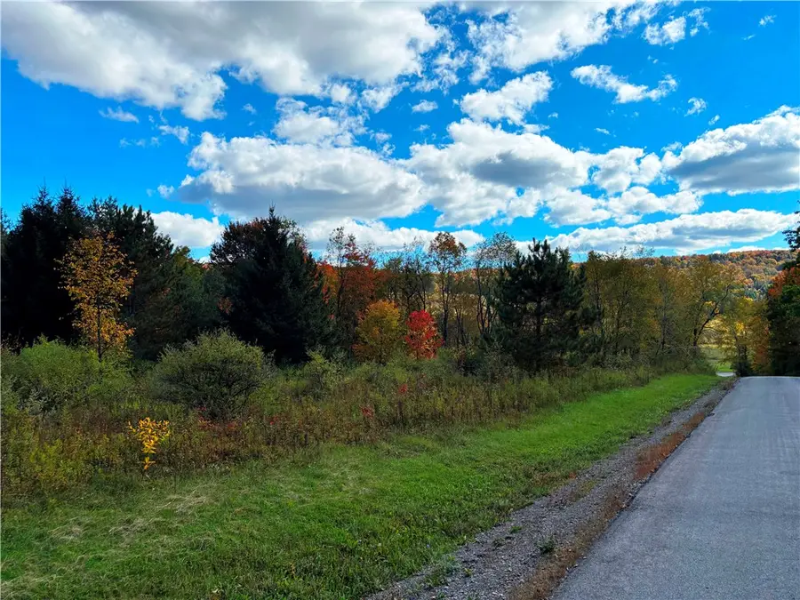 Lot #16 Furman Mills Road, Sherburne, NY 13460 - #3