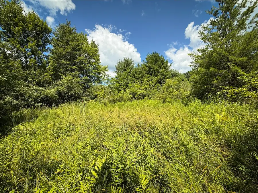 V/L Frank Hyde, Owego, NY 13827 - #2