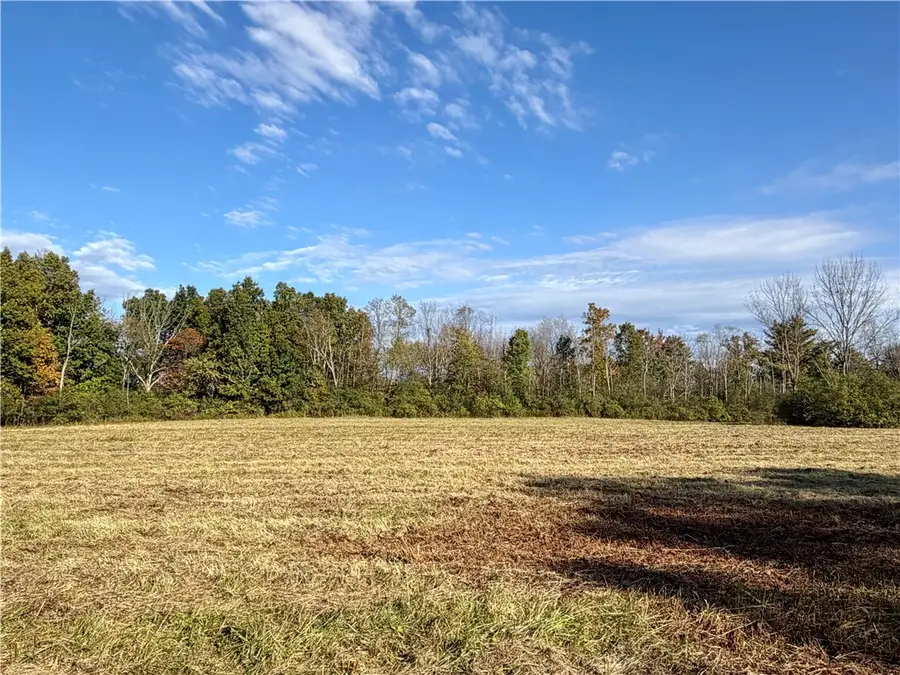 Wood Road, Freeville, NY 13068 - #2