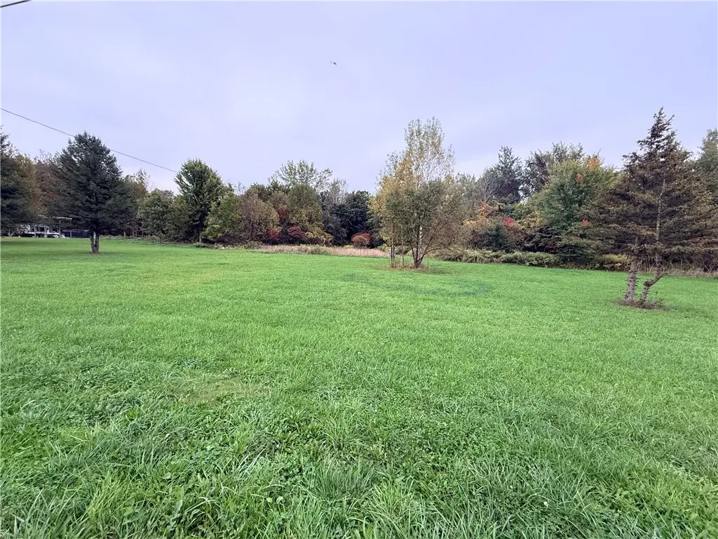 6356 Waters Road, Red Creek, NY 13143 - #1
