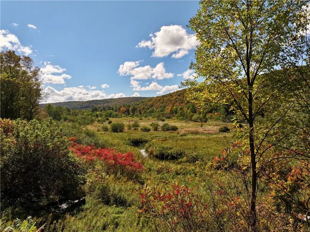 Halsey Valley Rd, Spencer, NY 14883 - #1