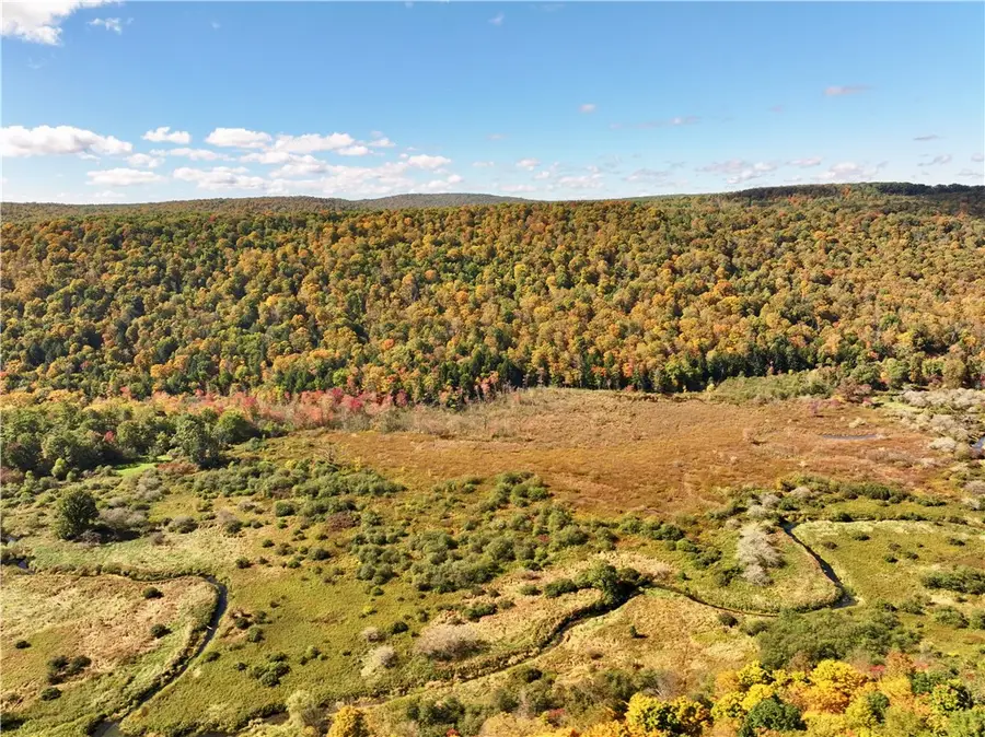 Halsey Valley Rd, Spencer, NY 14883 - #2