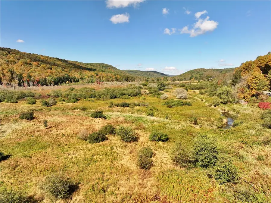 Halsey Valley Rd, Spencer, NY 14883 - #3