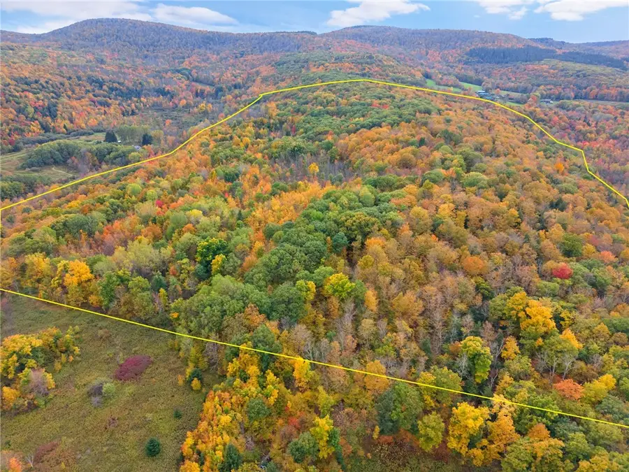541 Decatur Road, Cobleskill, NY 12043 - #2