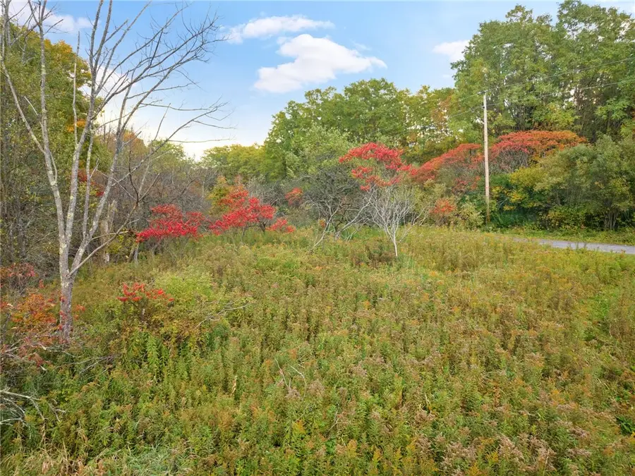 541 Decatur Road, Cobleskill, NY 12043 - #3