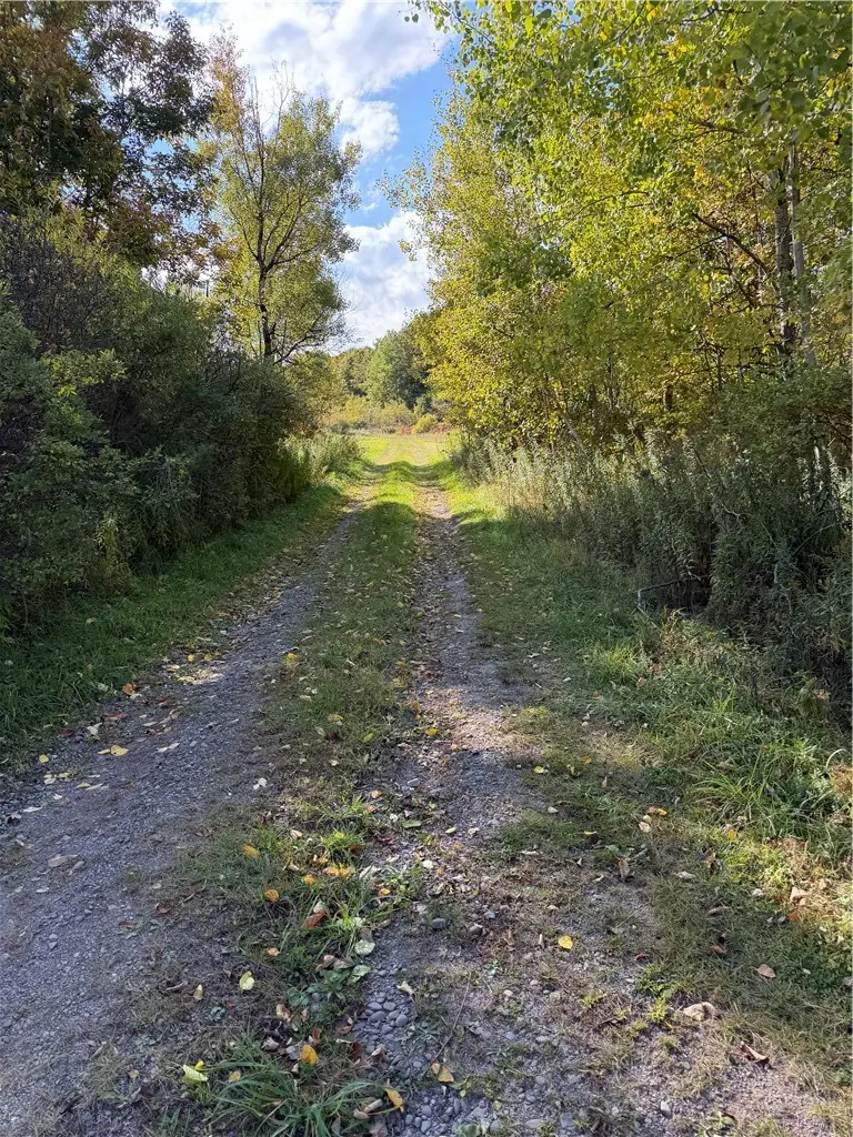 Hardknocks Road, Unadilla, NY 13849 - #1