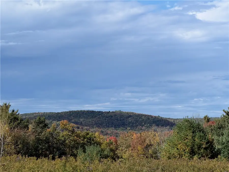 Hardknocks Road, Unadilla, NY 13849 - #2