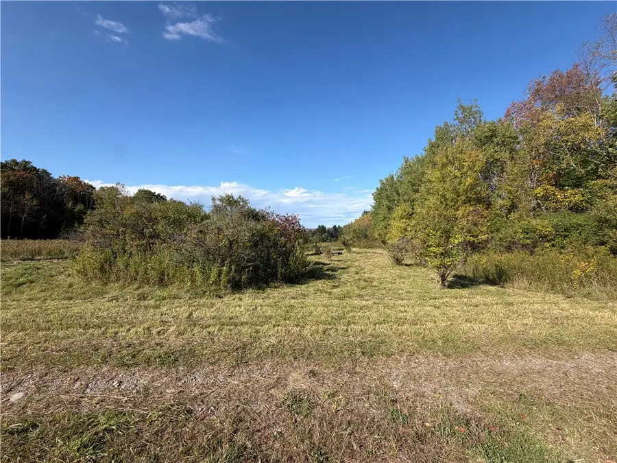 Hardknocks Road, Unadilla, NY 13849 - #3