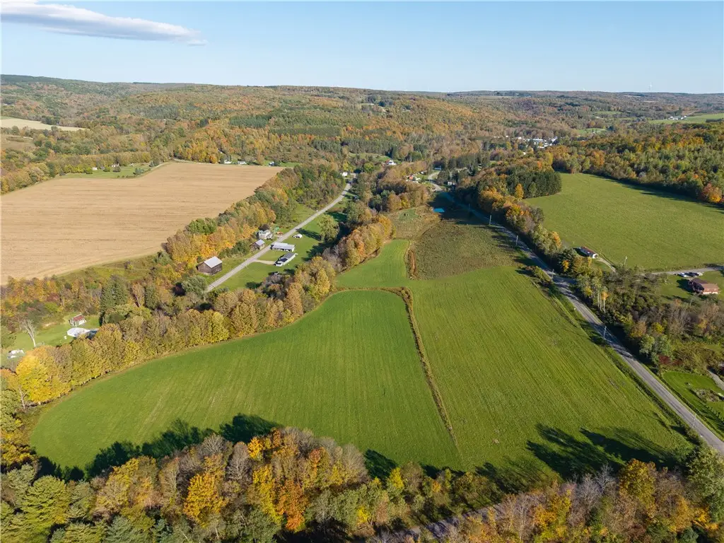 Willey Road, Dansville, NY 14437 - #1