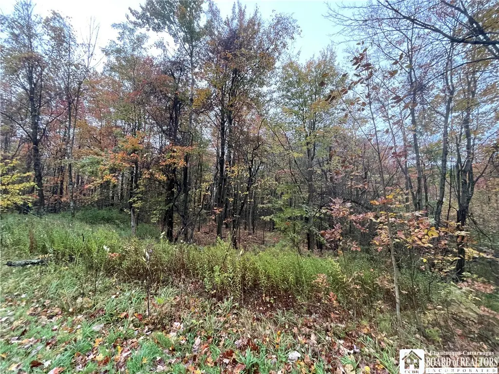 Park Road, Cassadaga, NY 14718 - #1