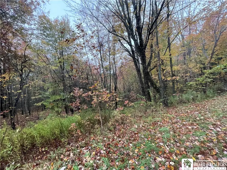 Park Road, Cassadaga, NY 14718 - #3