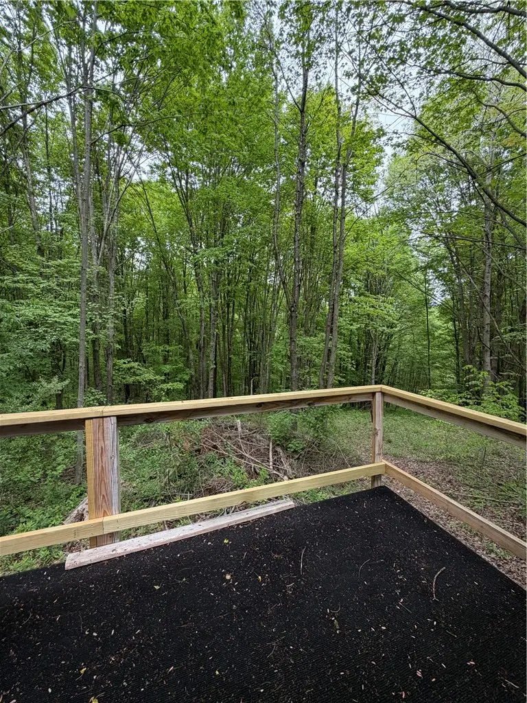 0 Campbell Hill Road, Owego, NY 13827 - #2