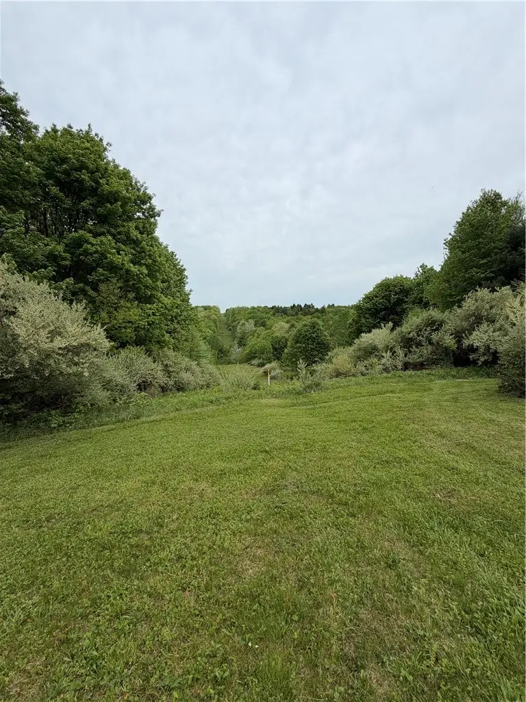 0 Campbell Hill Road, Owego, NY 13827 - #3