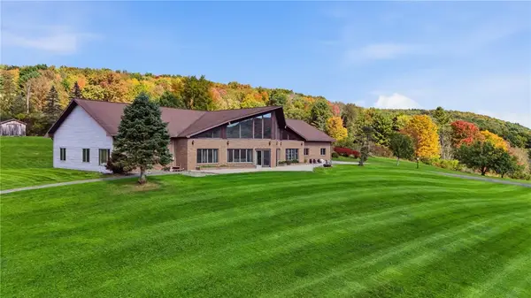 672 Candor Road, Spencer, NY 14883