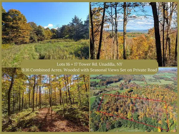 Lot 16 + 17 Tower Road, Unadilla, NY 13849