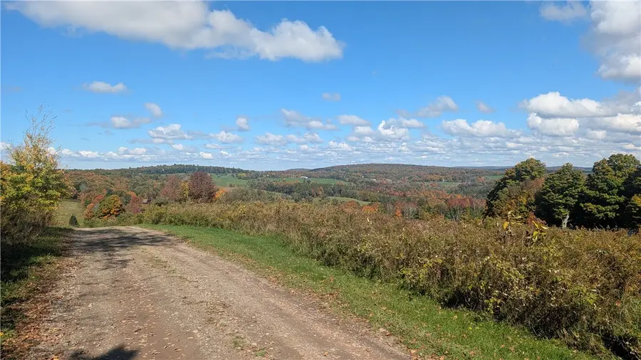 Lot 16 + 17 Tower Road, Unadilla, NY 13849 - #2
