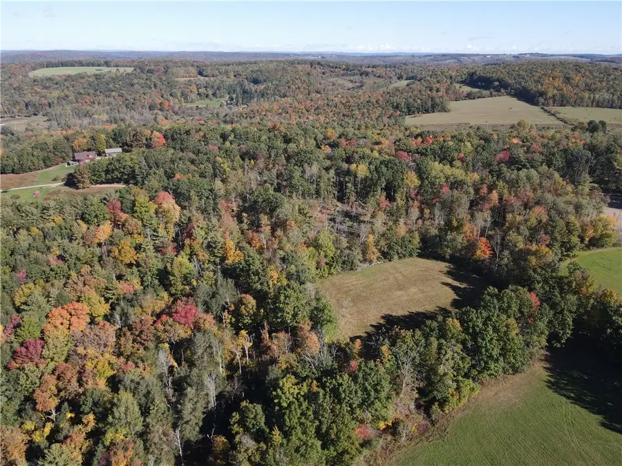 Browntown Road, Lindley, NY 14858 - #2