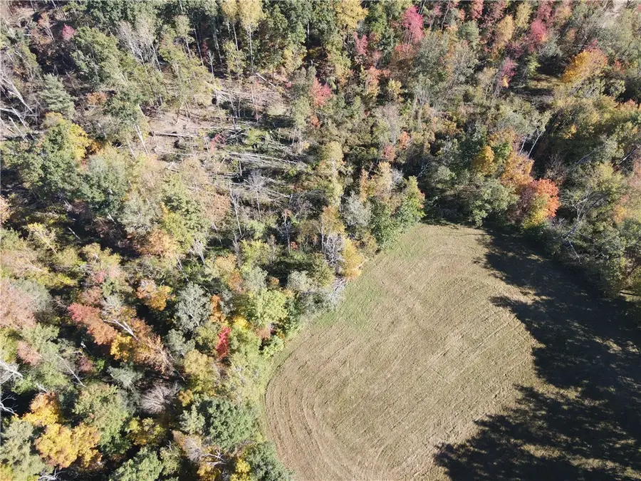 Browntown Road, Lindley, NY 14858 - #3