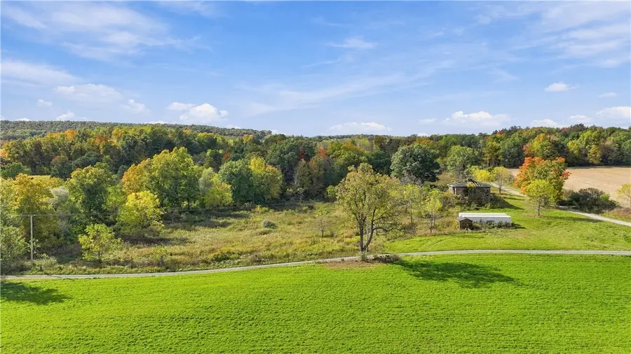 8962 Coryell Road, Branchport, NY 14418 - #3