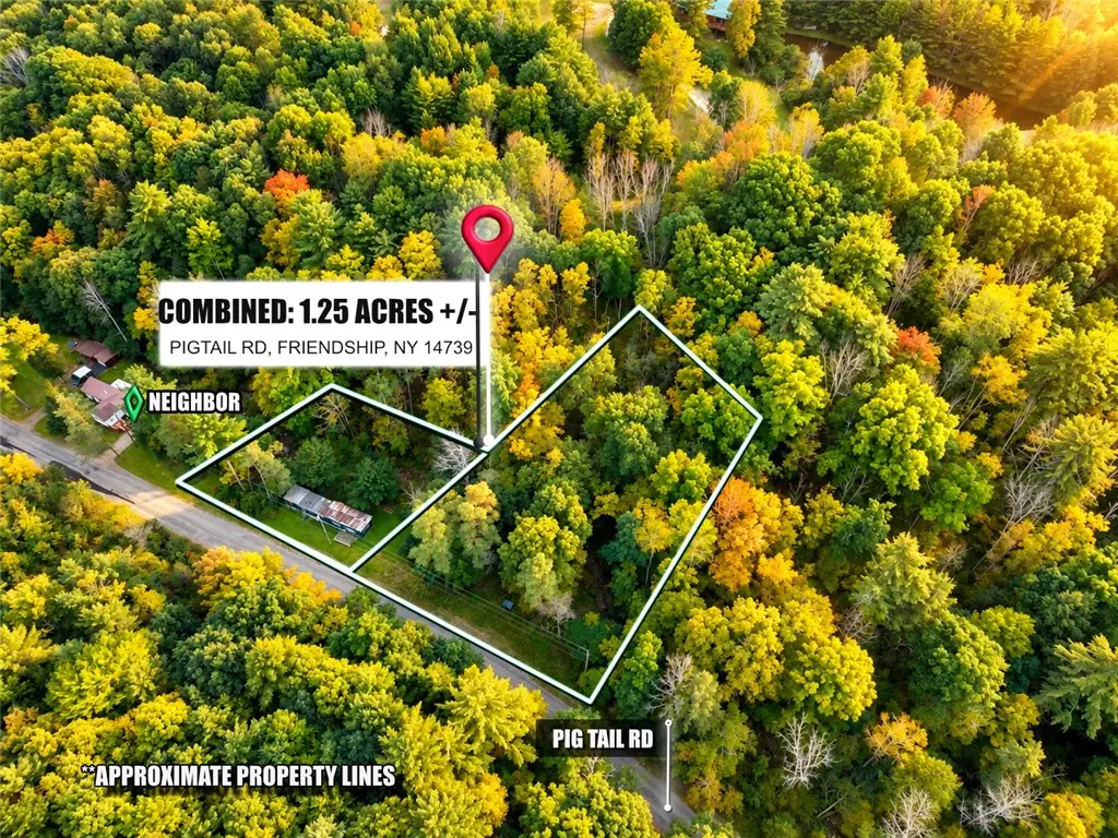 5275 and 5283 Pigtail Rd Road, Friendship, NY 14739 - #1
