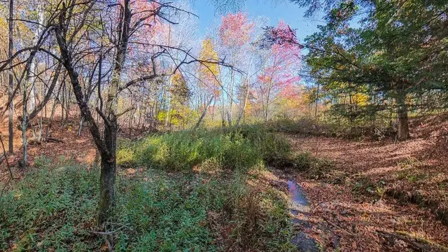 0 Cr 52, Cooperstown, NY 13326 - #3