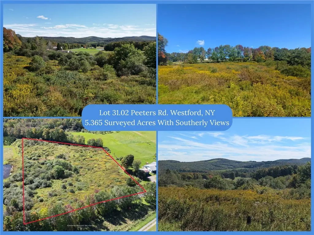 Lot 31.02 Peeters Road, Schenevus, NY 12155 - #1