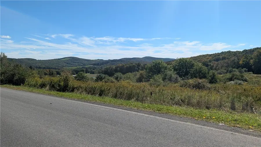 Lot 31.02 Peeters Road, Schenevus, NY 12155 - #2