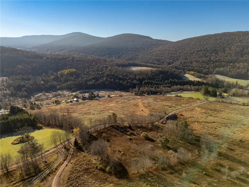 Lot 22 Reinertsen Hill Road, Bovina Center, NY 13740 - #1