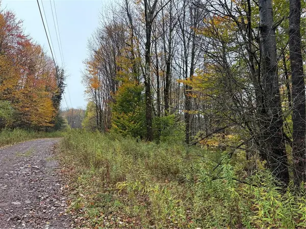 Dancing Street, Meredith, NY 13753
