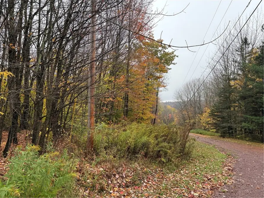 Dancing Street, Meredith, NY 13753 - #3