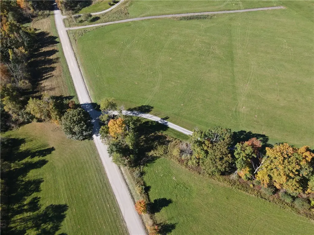 Browntown Road, Lindley, NY 14858 - #1