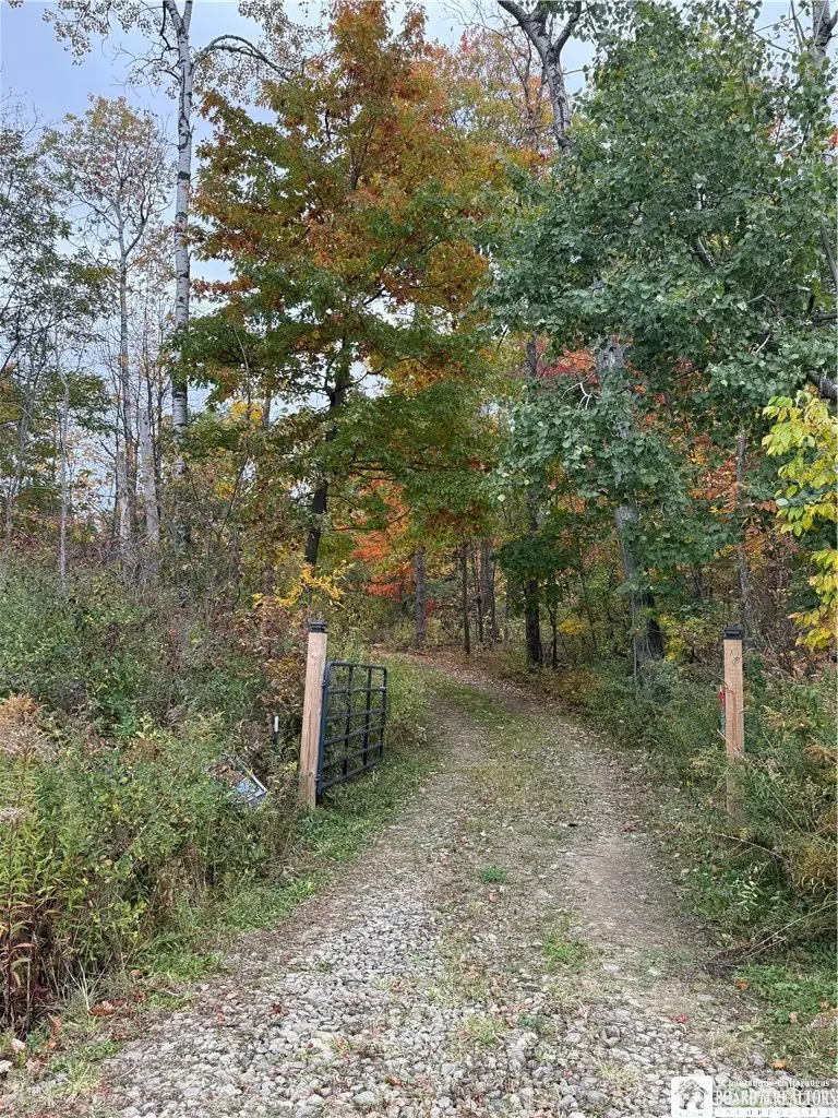3536 Watts Road, Randolph, NY 14772 - #3