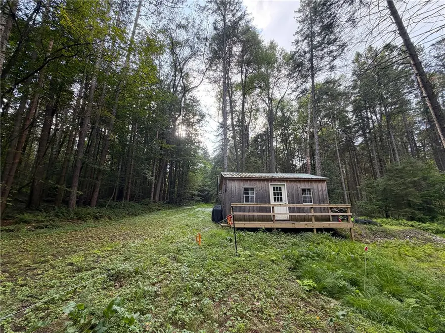 5098 Felton Hill Road, Ashford, NY 14171 - #3