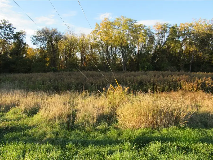 Forgham, Lyons, NY 14489 - #2