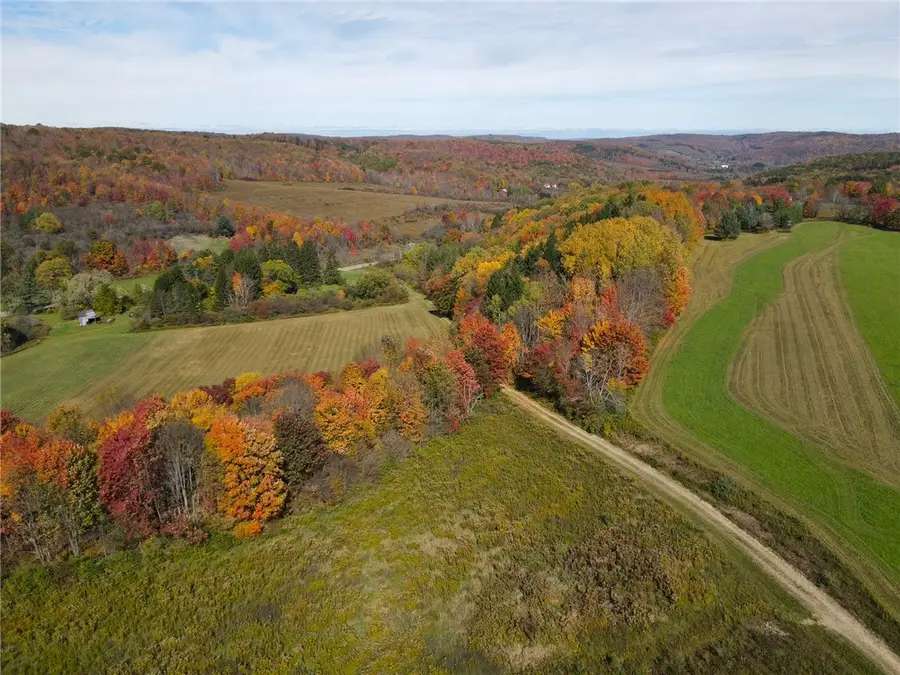 0 Rt-242, Little Valley, NY 14755 - #3