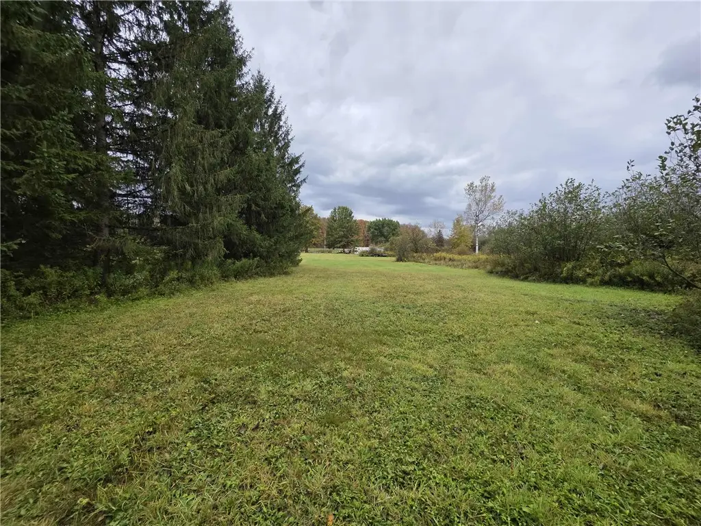 3239 Route 39, Bliss, NY 14024 - #1