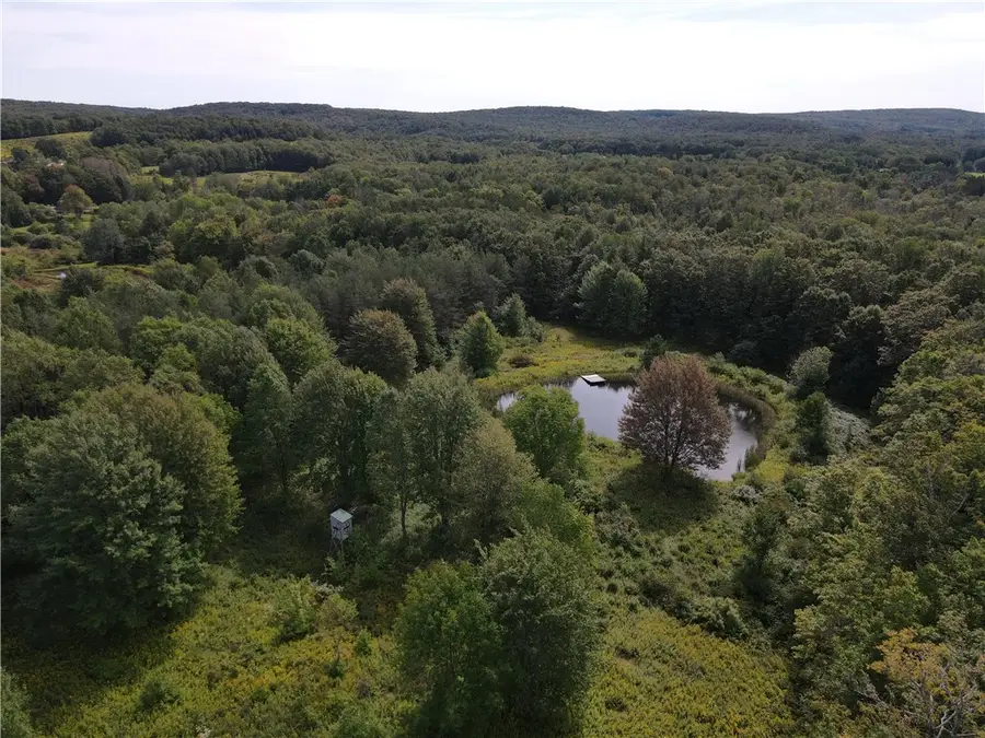 VL Town Line, Yorkshire, NY 14727 - #3