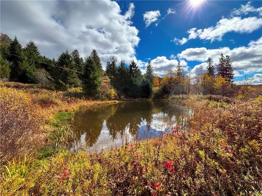 Lot 26B State Route 80, Sherburne, NY 13460 - #3