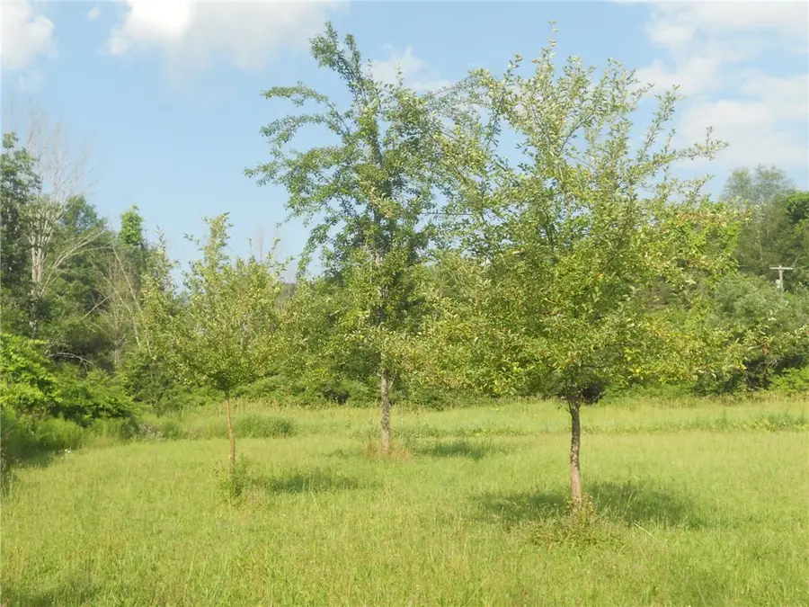 Gridleyville, Spencer, NY 14883 - #3