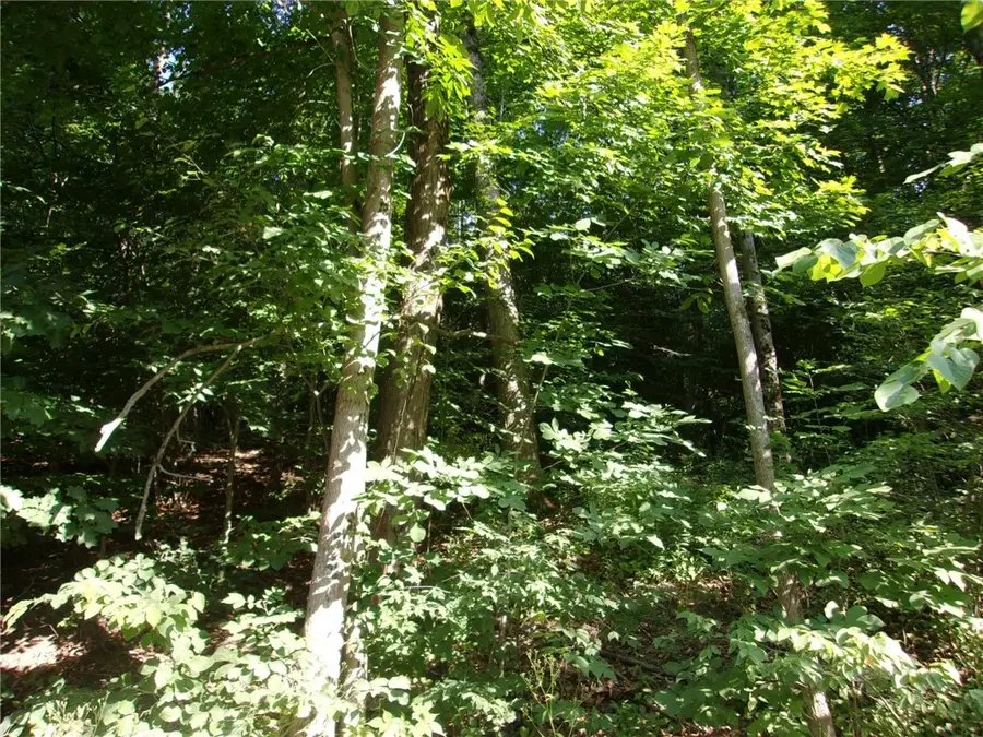 Gridleyville, Spencer, NY 14883 - #2