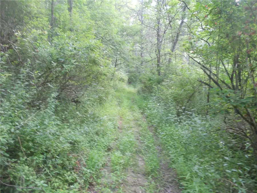 Gridleyville, Spencer, NY 14883 - #3