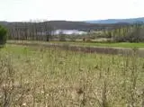 Palmer Road, Schenevus, NY 12155 - #1