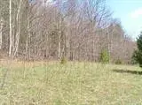 Palmer Road, Schenevus, NY 12155 - #2