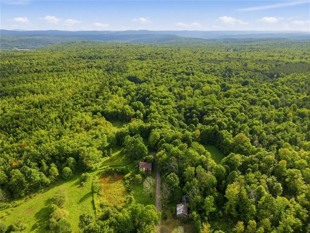 Dragoo Road, Maryland, NY 12116 - #1