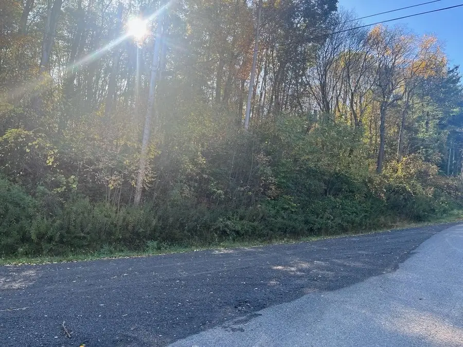 Wheaton Hill Road, Springwater, NY 14560 - #2